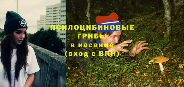 mix Алексин