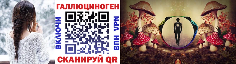 купить наркотик Венёв блэк спрут tor Псилоцибиновые грибы прущие грибы