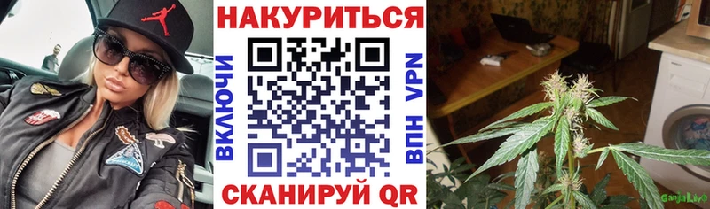 Каннабис тримм Венёв
